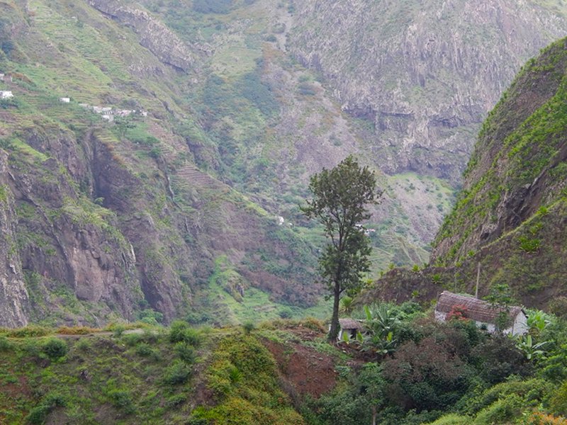 Coculi to Cha de Pedras, Cha de Pedras – Aguada Cirque, Cruzinha to Ponta Sol, Ribeira da Torre Valley, Discover Paul Valley