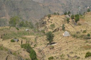 CIRCULAR HIKE SANTO ANTAO CABO VERDE TREKKING (3)