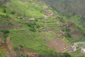 Coculi to cha pedras santo antao cape verde tours trekking guide (6)