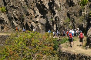 Corda to coculi santo antao cape verde trekking (8)