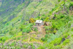 LIN DE CORVO TO JOAO AFONSO SANTO ANTAO CAPE VERDE TOURS TREKKING (3)