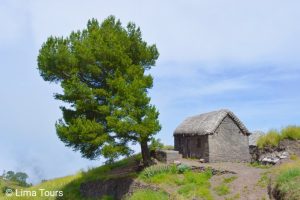 LIN DE CORVO TO JOAO AFONSO SANTO ANTAO CAPE VERDE TOURS TREKKING (5)