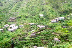 PINHAO TO LOMBO BRANCO SANTO ANTAO CAPE VERDE TREKKING TOURS (2)