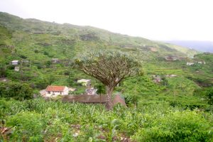 PINHAO TO LOMBO BRANCO SANTO ANTAO CAPE VERDE TREKKING TOURS (3)