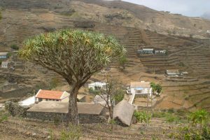 PINHAO TO LOMBO BRANCO SANTO ANTAO CAPE VERDE TREKKING TOURS (5)