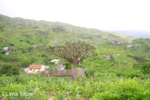 PINHAO TO LOMBO BRANCO SANTO ANTAO CAPE VERDE TREKKING TOURS (8)